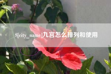 遂宁九宫怎么排列和使用