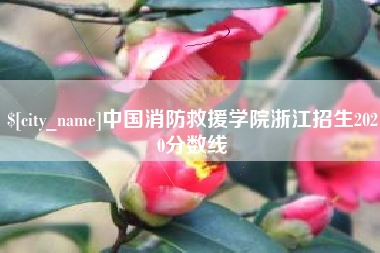 遂宁中国消防救援学院浙江招生2020分数线