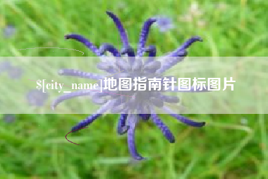 遂宁地图指南针图标图片