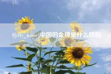 遂宁中国的金牌是什么样的