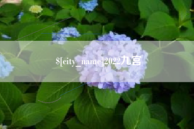 遂宁2022九宫