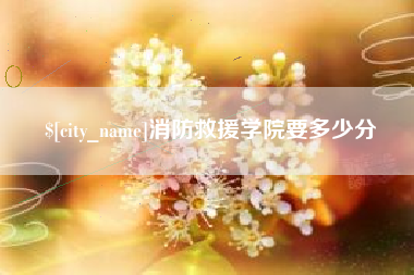 遂宁消防救援学院要多少分