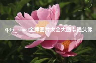 遂宁金牌图片大全大图卡通头像