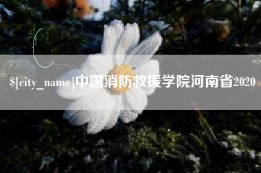 遂宁中国消防救援学院河南省2020